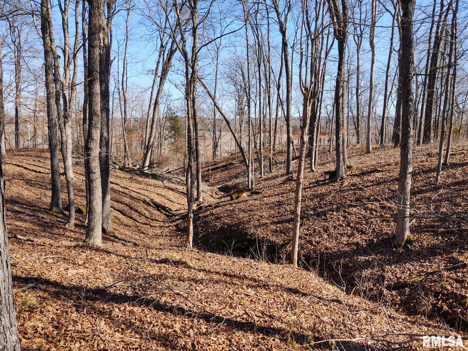 6270 Buncombe Road Buncombe, IL 62912 - Photo 41 of 71