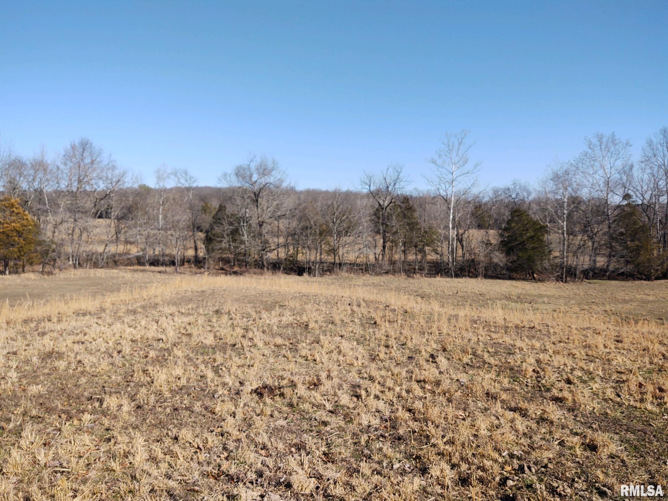 6270 Buncombe Road Buncombe, IL 62912 - Photo 45 of 71