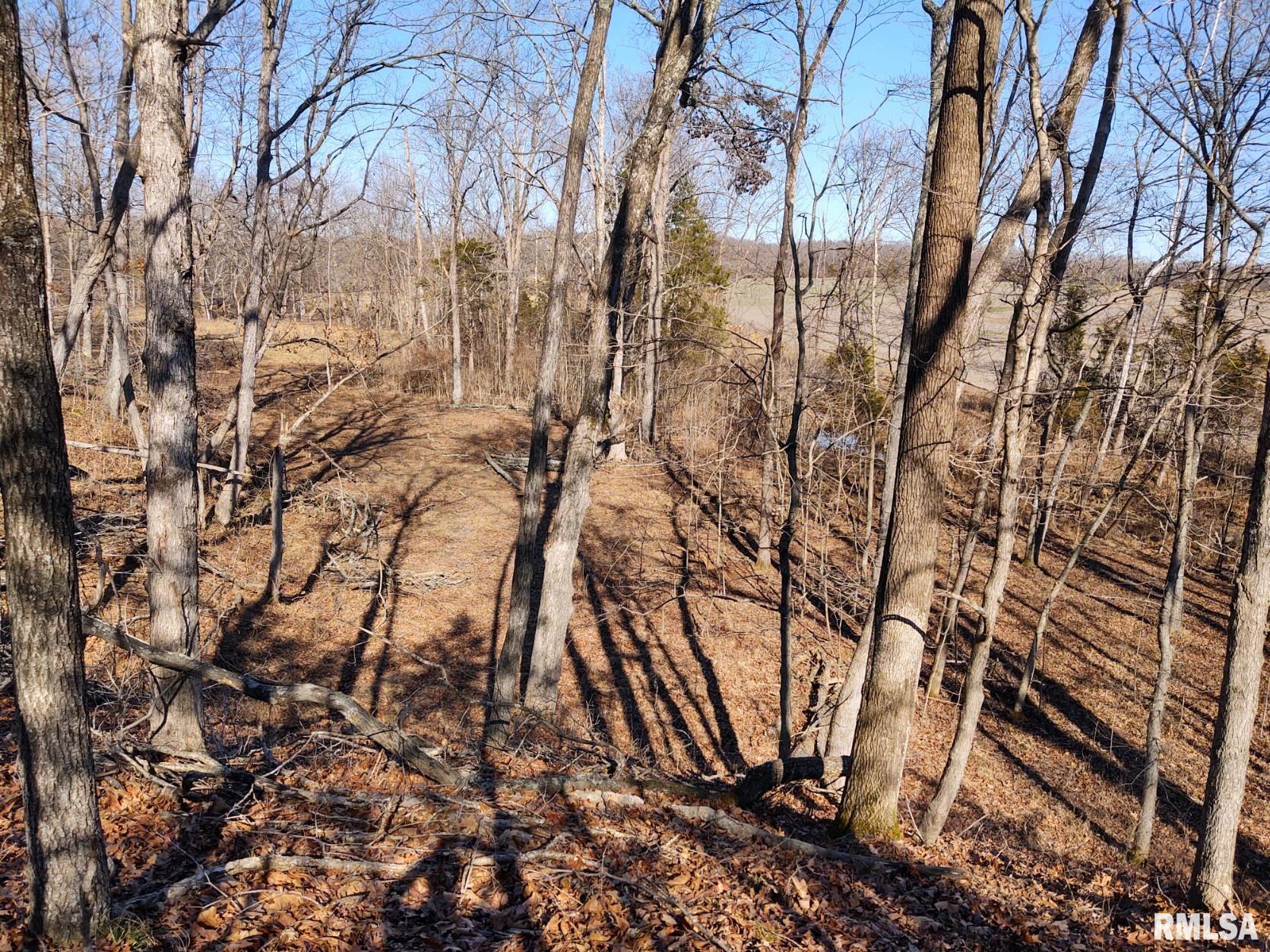 6270 Buncombe Road Buncombe, IL 62912 - Photo 47 of 71