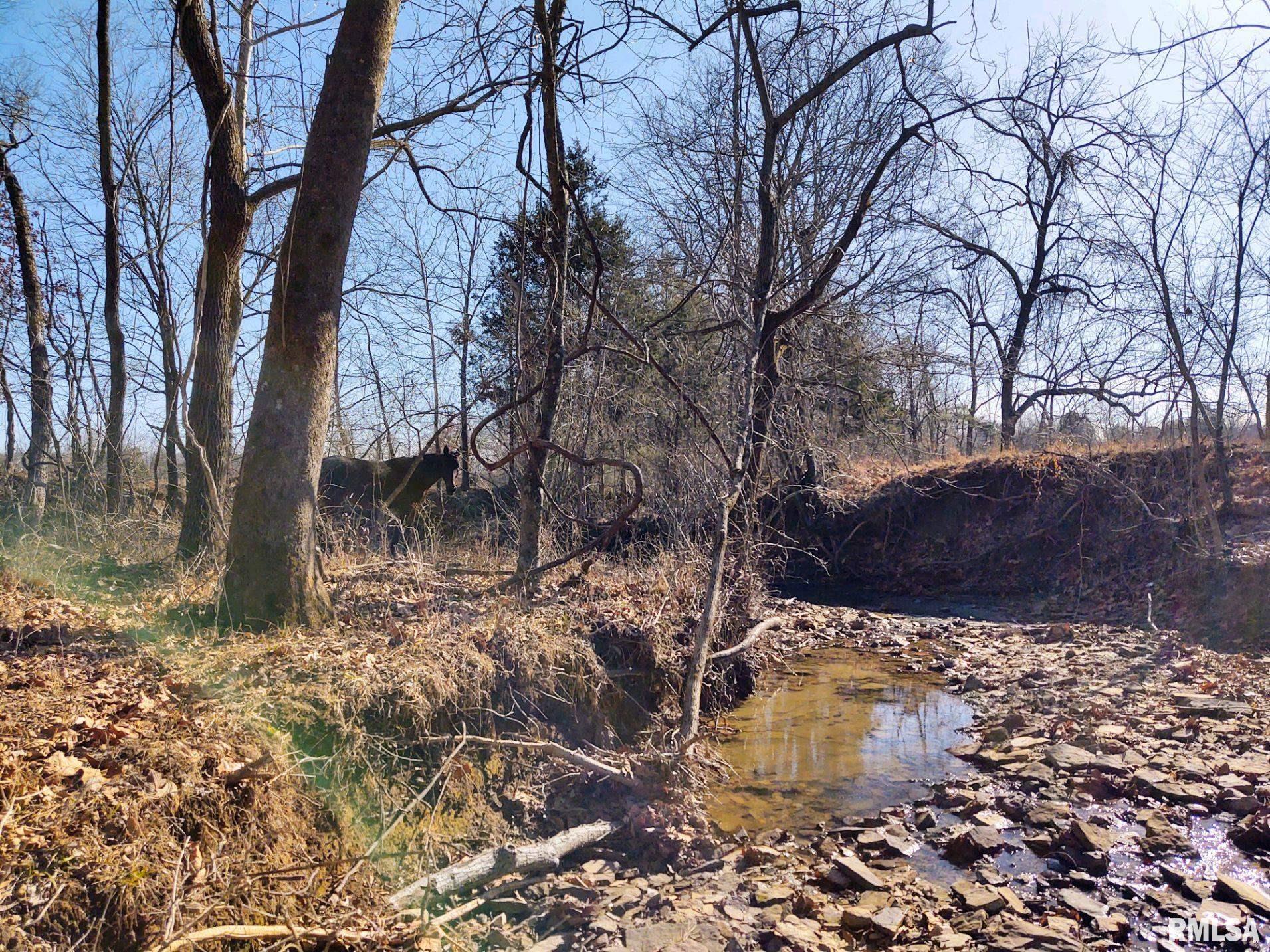 6270 Buncombe Road Buncombe, IL 62912 - Photo 49 of 71