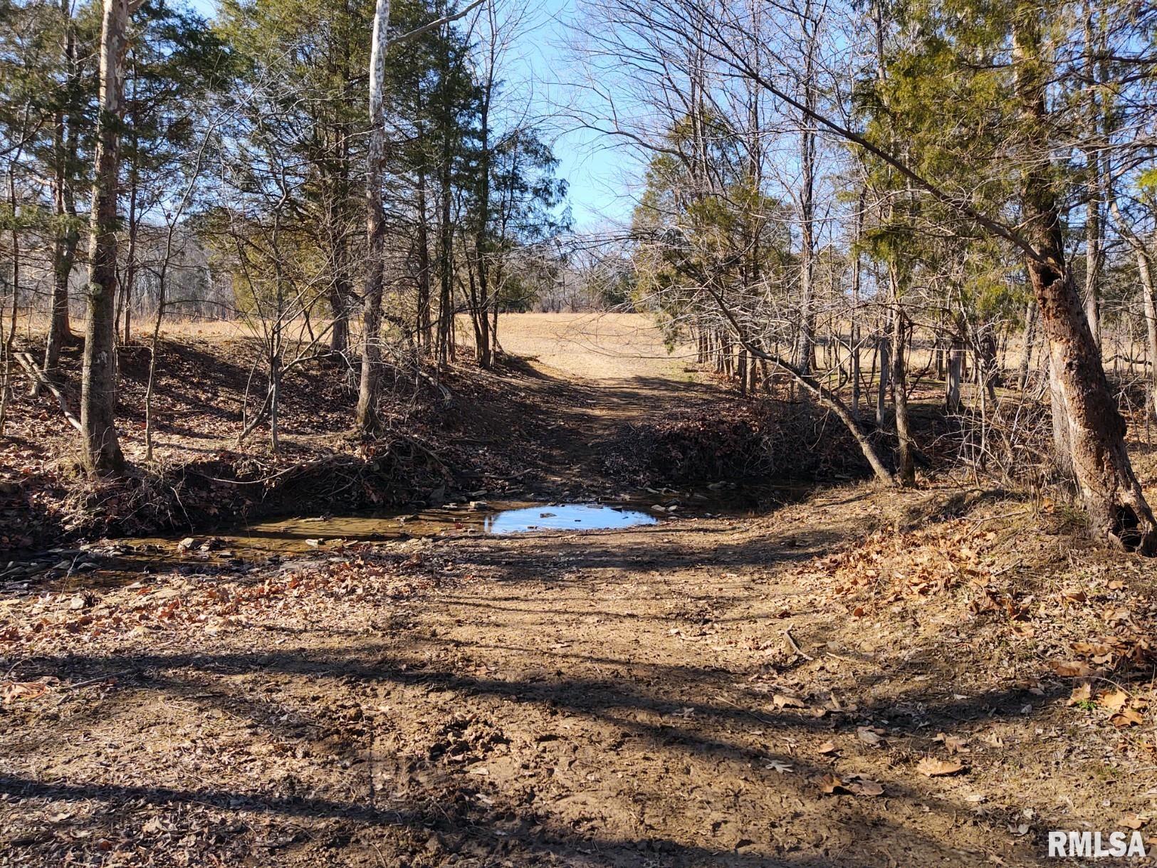6270 Buncombe Road Buncombe, IL 62912 - Photo 55 of 71
