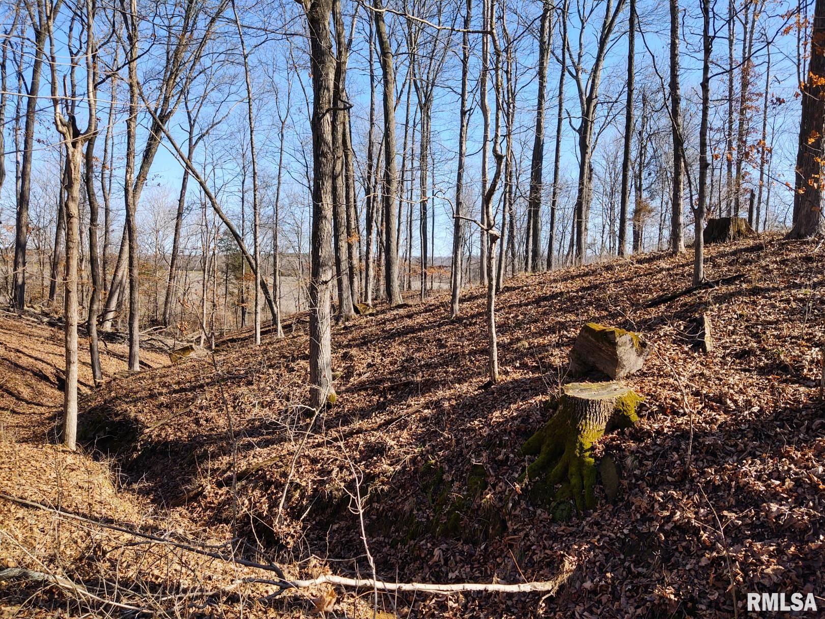 6270 Buncombe Road Buncombe, IL 62912 - Photo 59 of 71