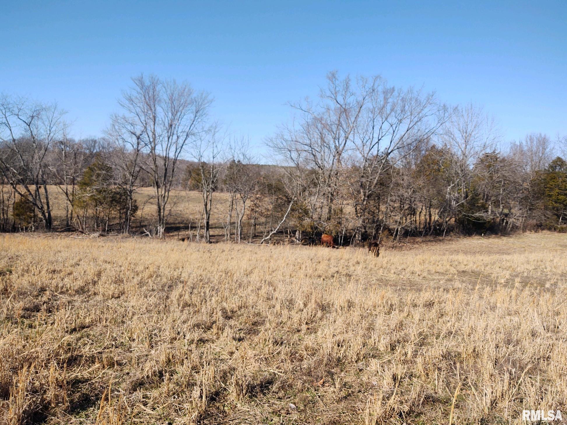 6270 Buncombe Road Buncombe, IL 62912 - Photo 61 of 71