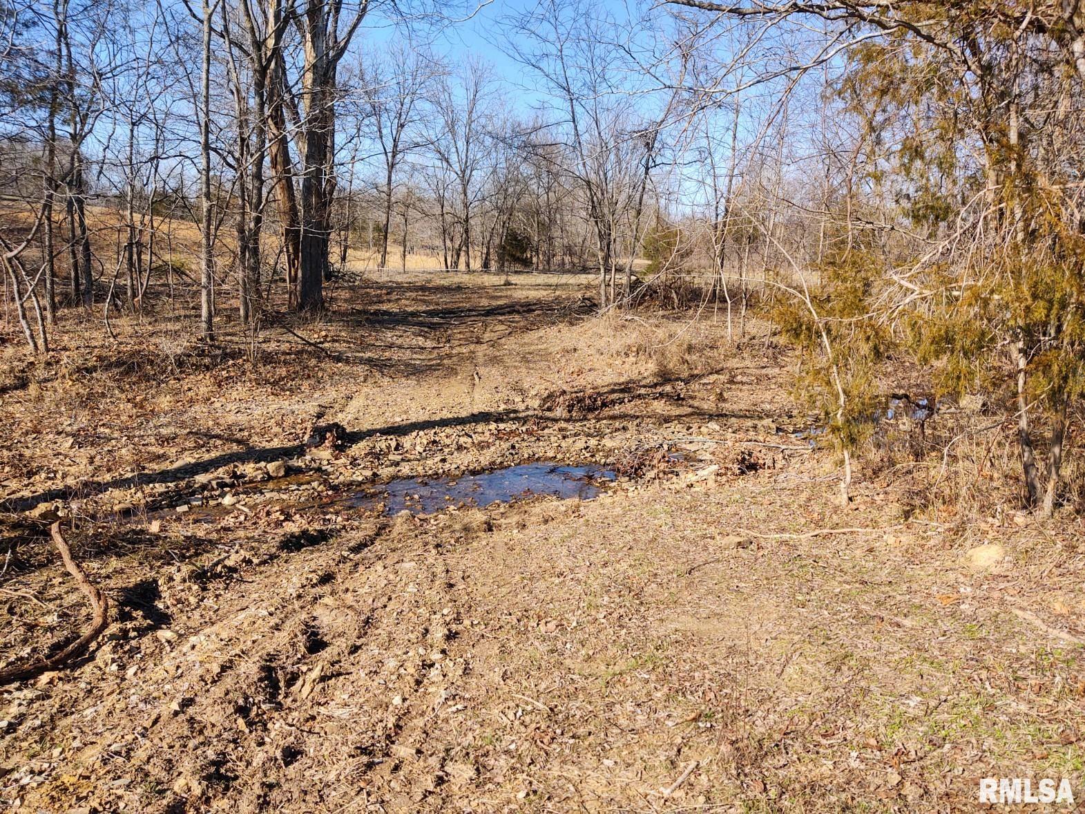 6270 Buncombe Road Buncombe, IL 62912 - Photo 63 of 71