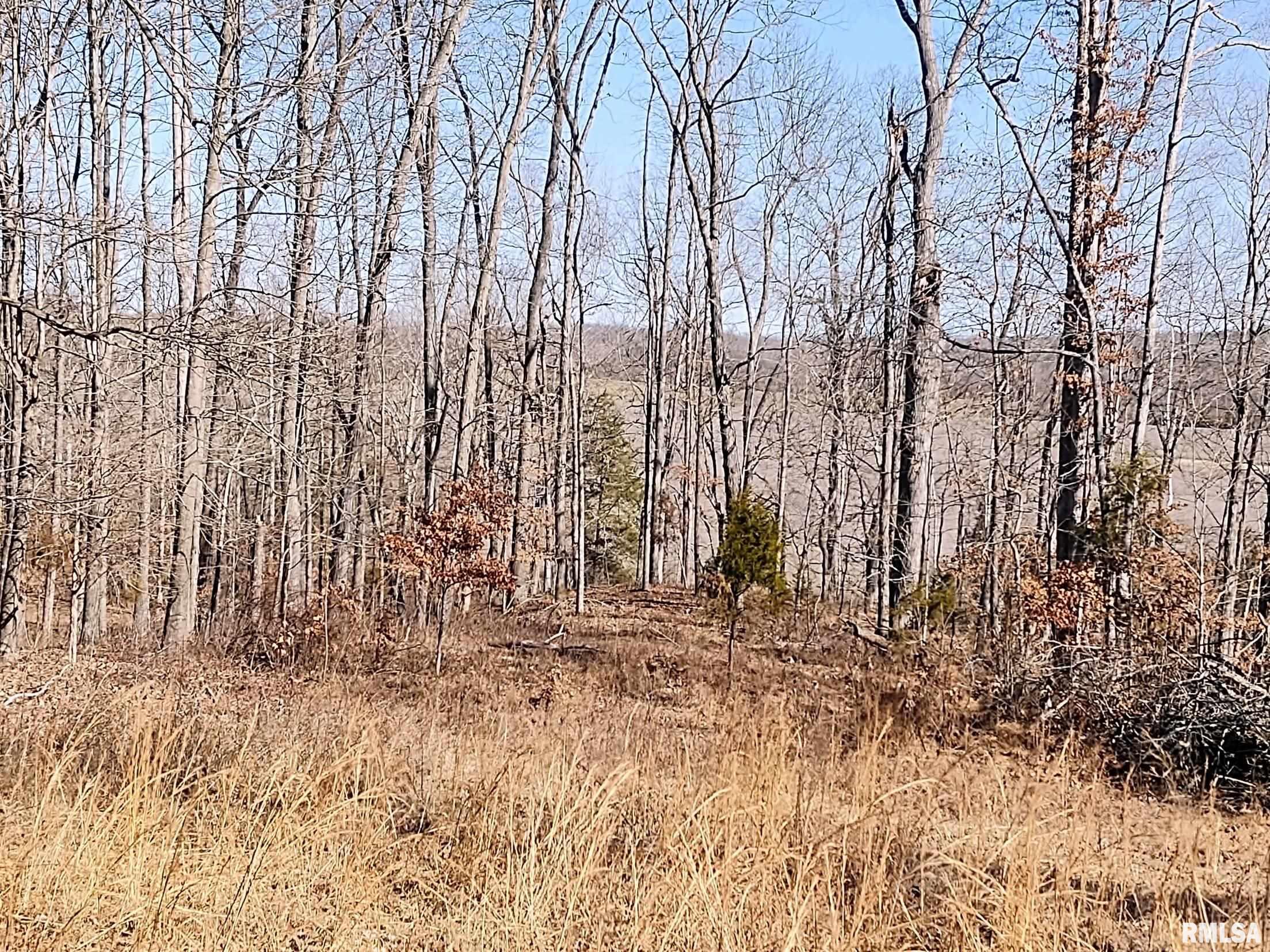 6270 Buncombe Road Buncombe, IL 62912 - Photo 66 of 71