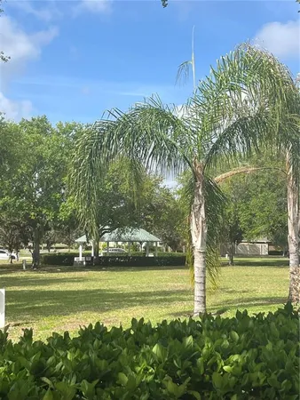 a view of a yard with a large trees