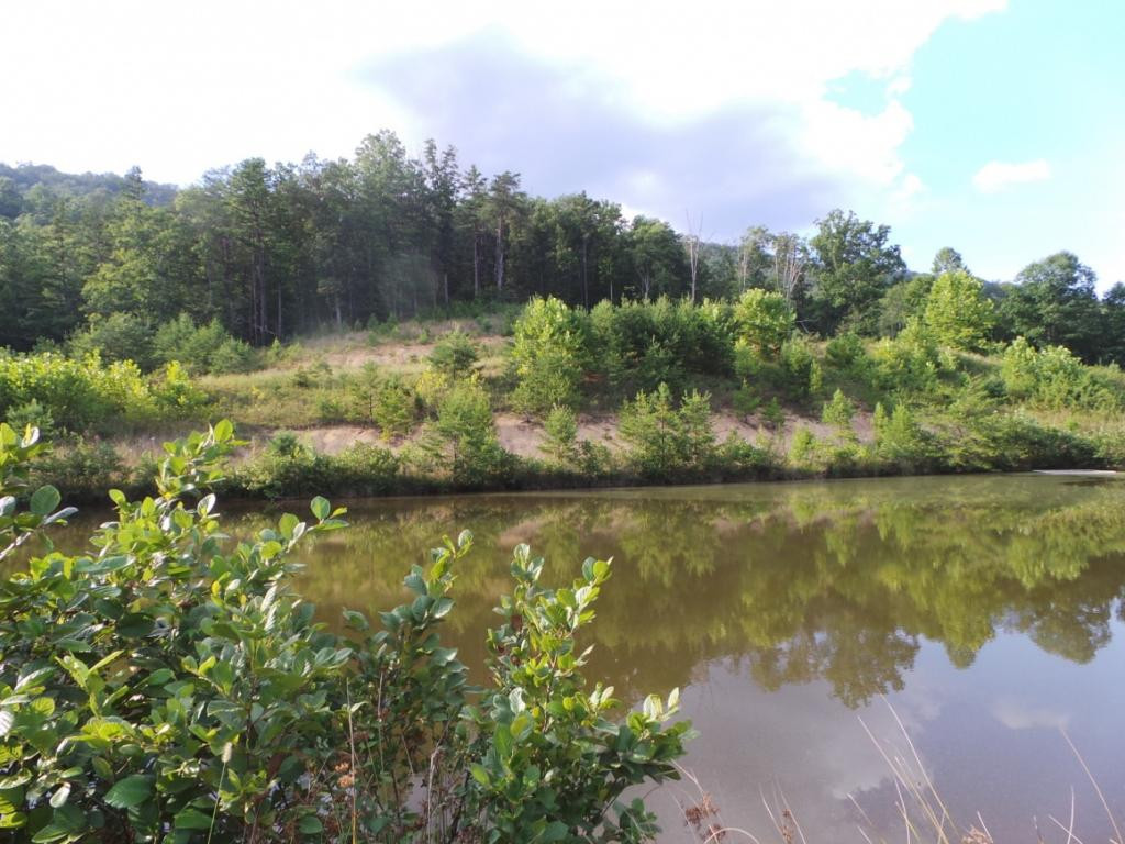 0 High Rock Road Rogersville, TN 37857 - Photo 6 of 20 Photo 6