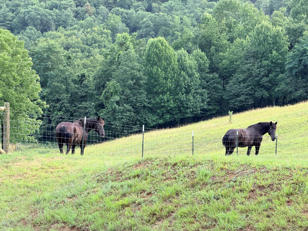 72 Fox Glen Road Fancy Gap, VA 24328 - Photo 66 of 66 Gallery Image 66
