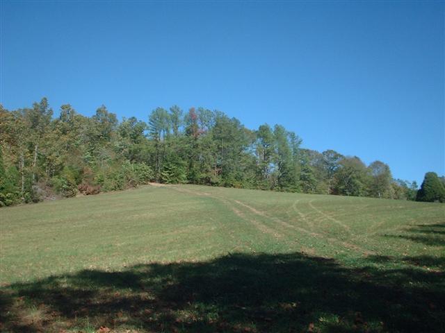 4 Les Ferrell Road Stewart, TN 37175 - Photo 1 of 2 Unique setting with beautiful views, a spring is your boundary line on the Left side of this property. Build your dream home or perfect vacation/weekend getaway!