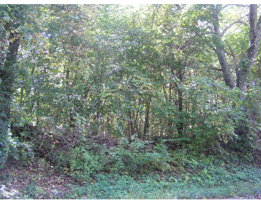 Lot J Benson Road Northbridge, MA 01534 - Photo 1 of 1 Gallery Image 1