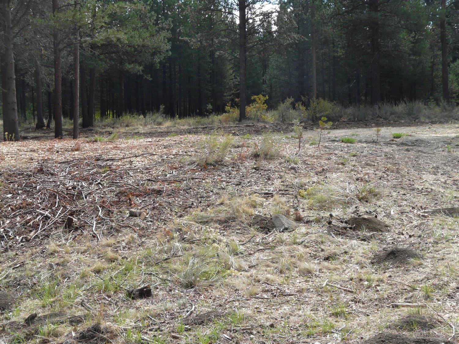 55021 Huntington Road Bend, OR 97707 - Photo 10 of 23 Additional Photo