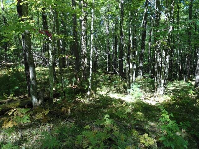 M1750 Mercer Lake Road Minocqua, WI 54548 - Photo 5 of 7 Gallery Image 5