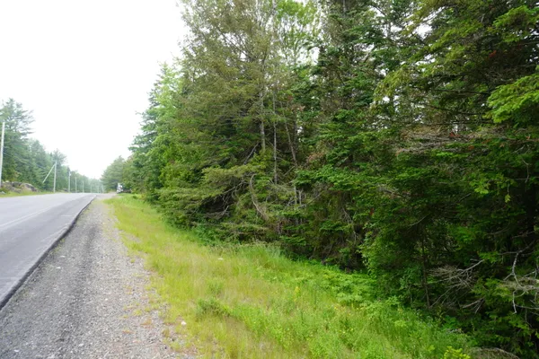 $15,000 | Lot 66 South River Road, Dennysville, ME 04628