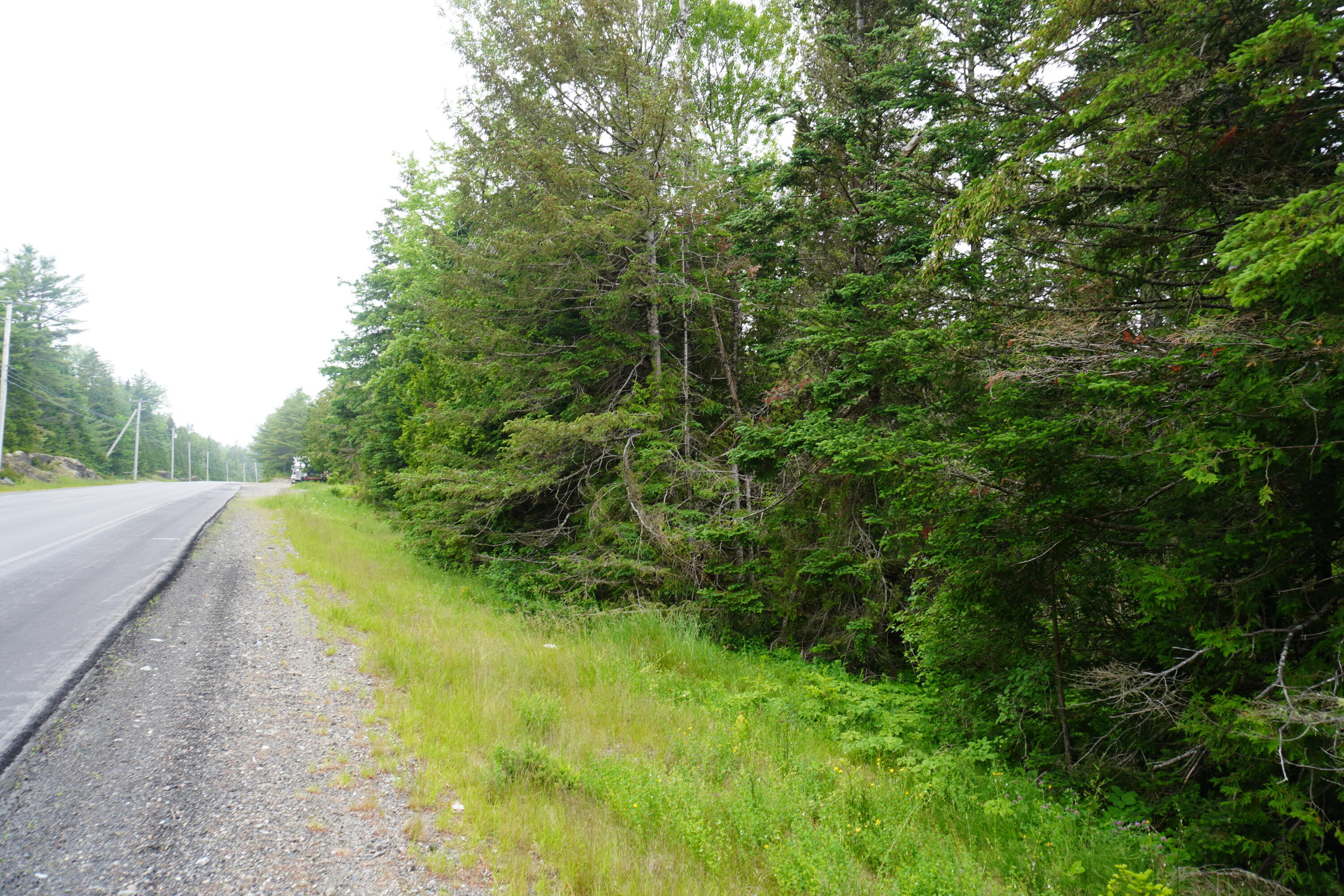 Lot 66 South River Road Dennysville, ME 04628 - Photo 1 of 4 Road View