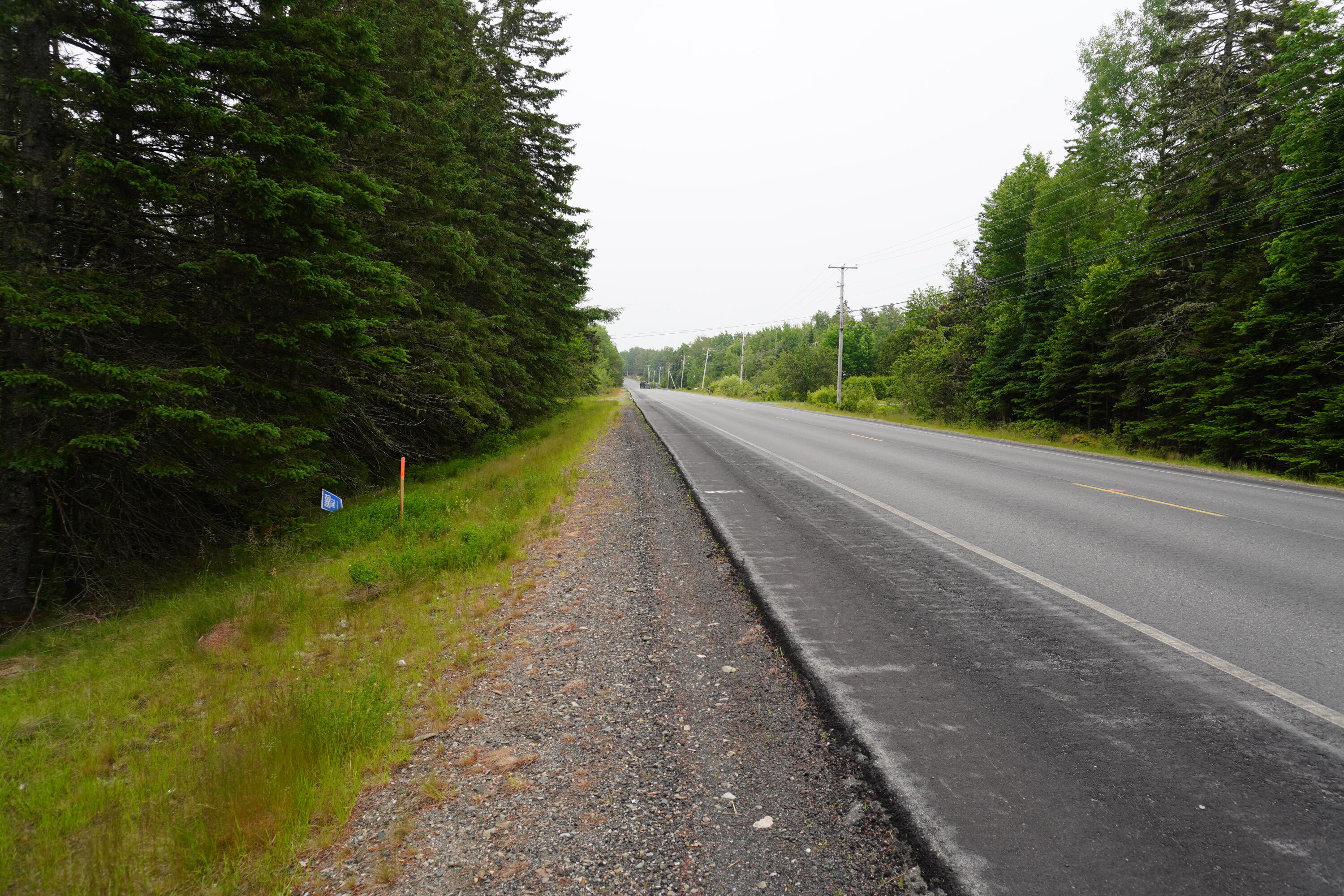 Lot 66 South River Road Dennysville, ME 04628 - Photo 3 of 4 Road View
