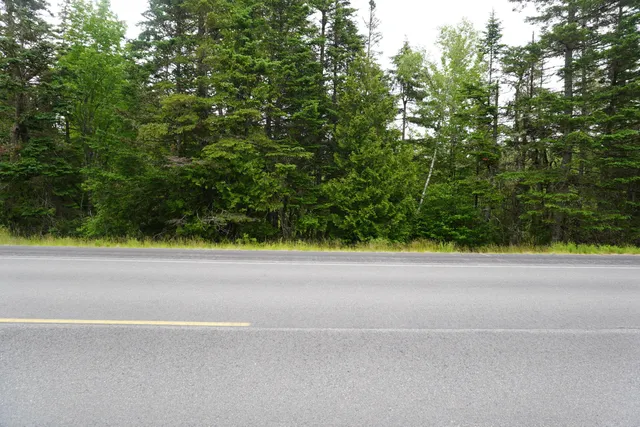 $15,000 | Lot 66 South River Road, Dennysville, ME 04628