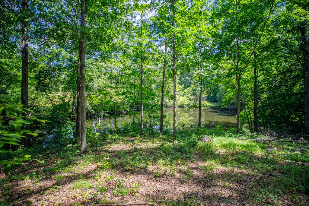 1067 Hinkle Road Kenbridge, VA 23944 - Photo 16 of 54 Gallery Image 16