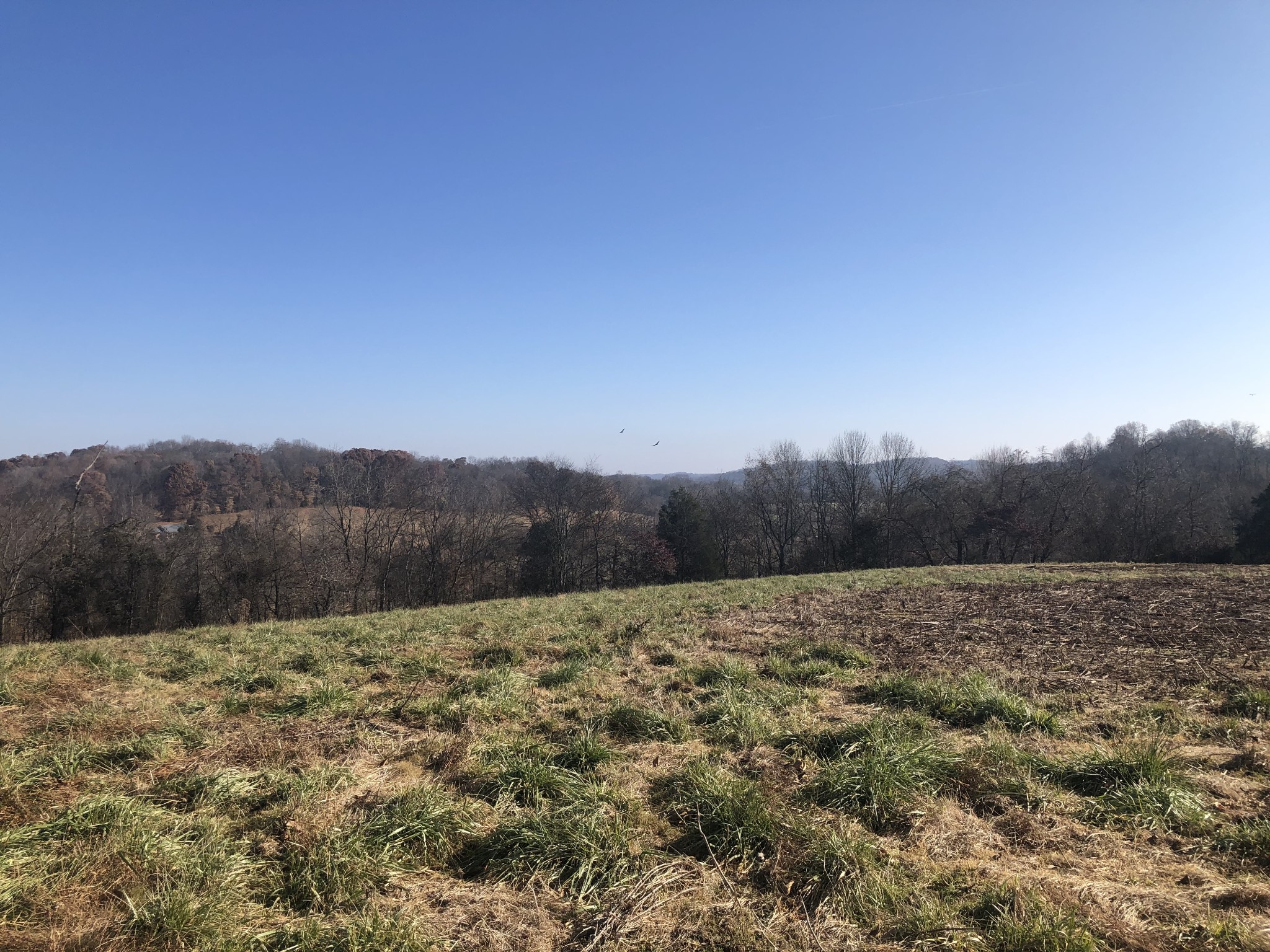 1561 Garrison Branch Road Cottontown, TN 37048 - Photo 1 of 5 a view of an outdoor space