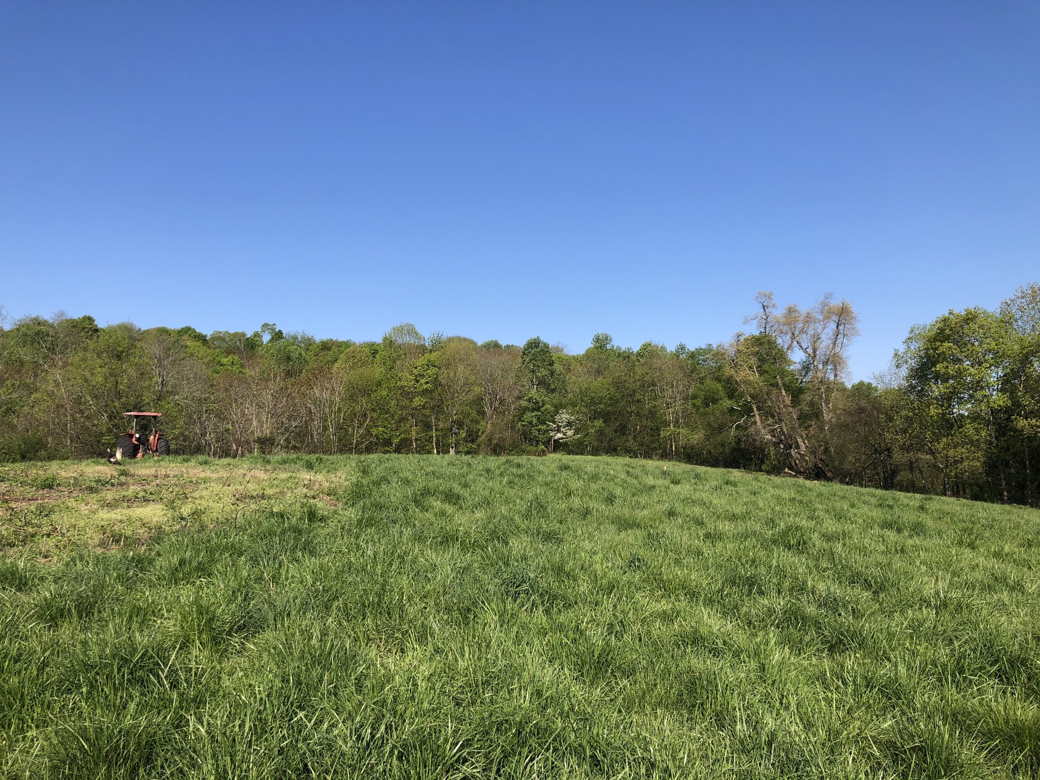 1561 Garrison Branch Road Cottontown, TN 37048 - Photo 4 of 5 a view of an outdoor space with a lake view