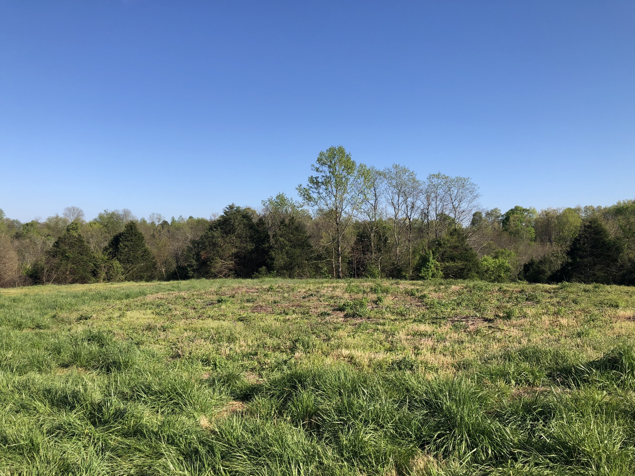 1561 Garrison Branch Road Cottontown, TN 37048 - Photo 5 of 5 a view of an outdoor space with green field and trees