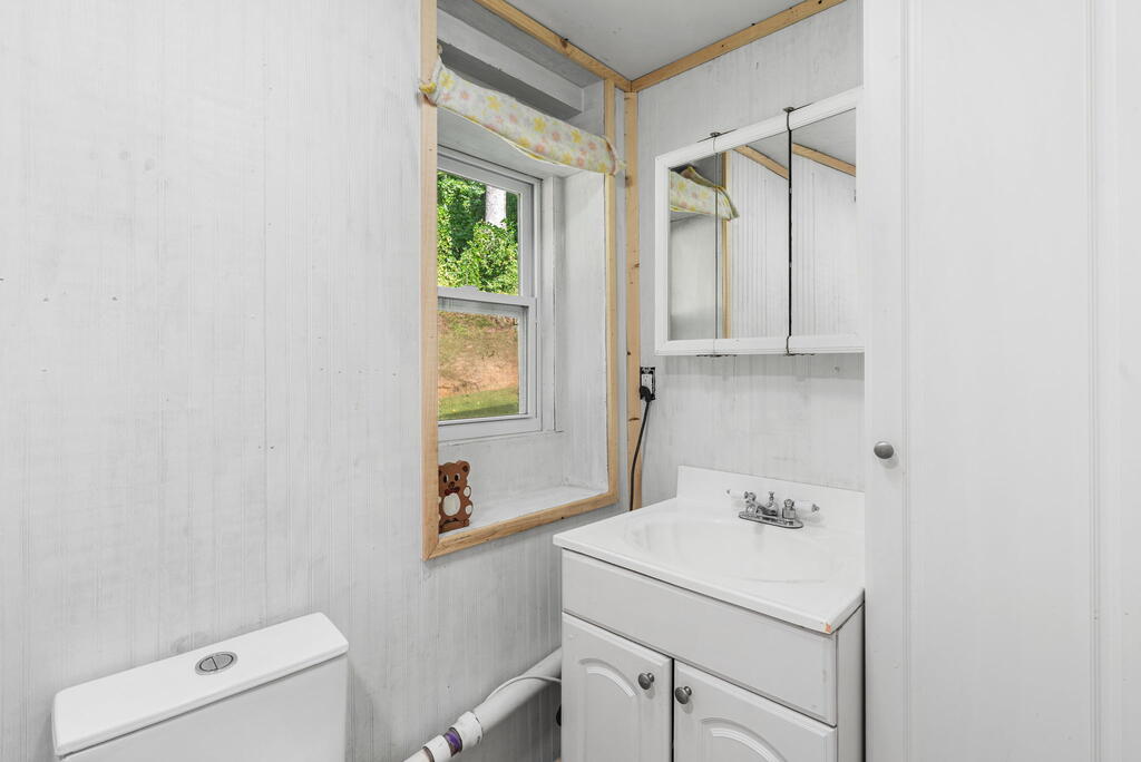 94 East Highland Street Blue Ridge, GA 30513 - Photo 50 of 59 Bath 3 Lower Level