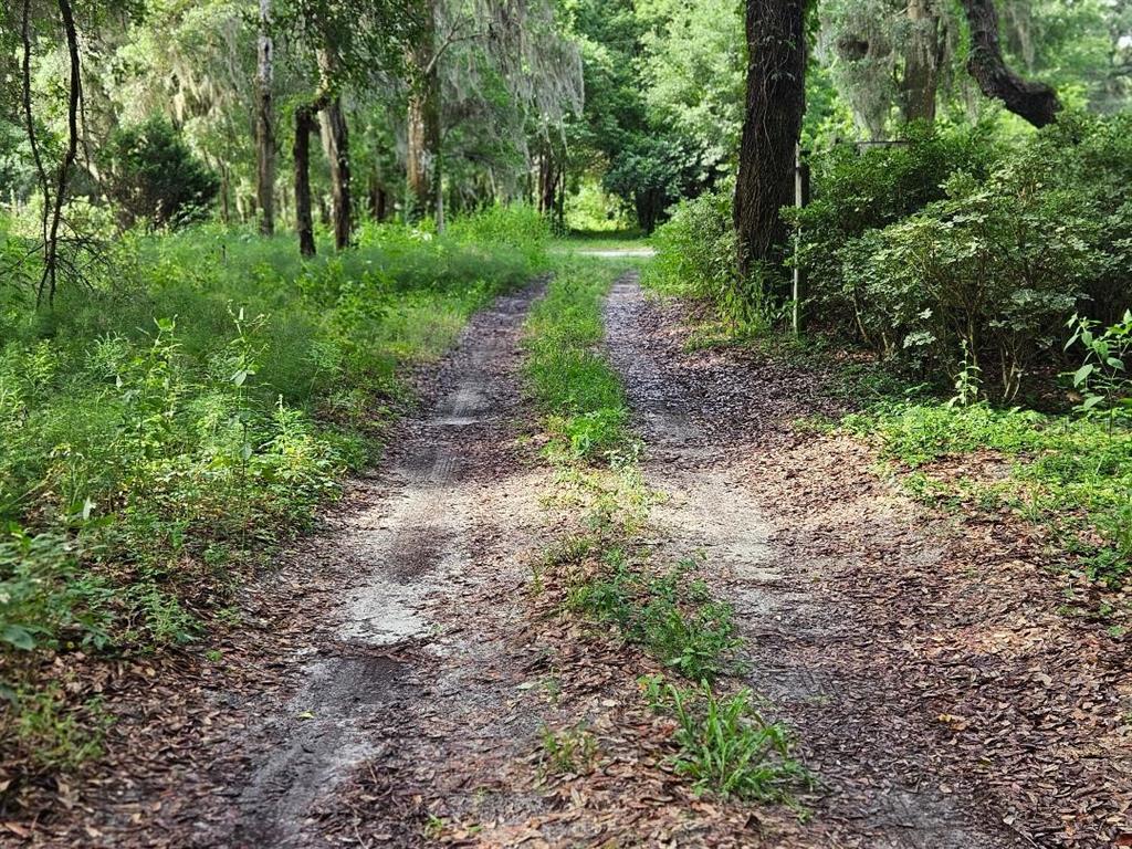 610 Burnsed Road Pierson, FL 32180 - Photo 11 of 14