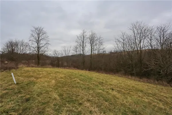 a view of a yard