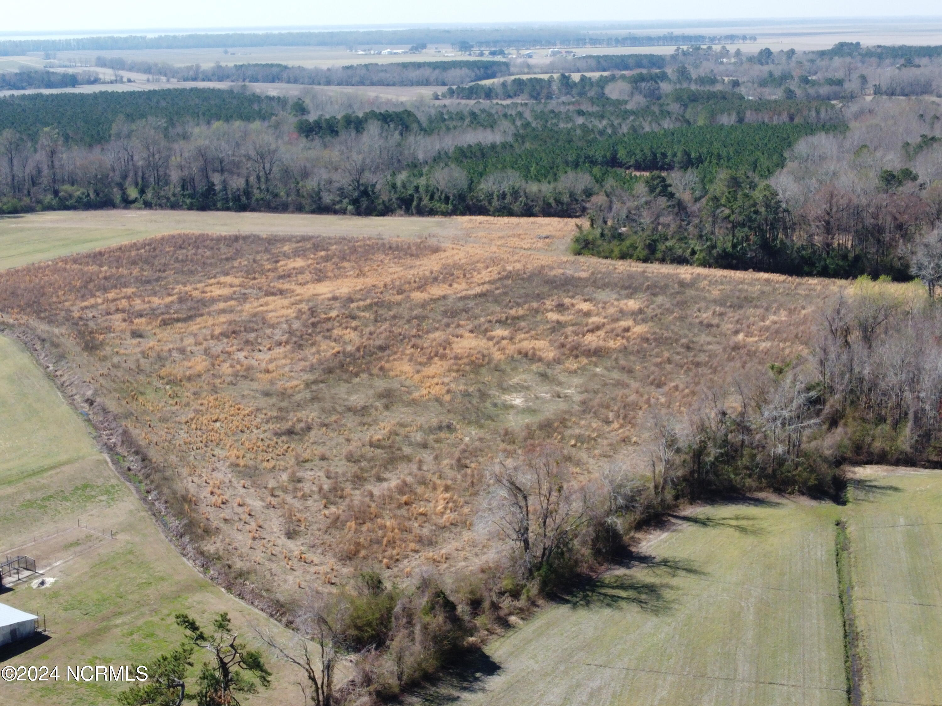 0 Spruill Town Road Creswell, NC 27928 - Photo 4 of 17 DJI_0620