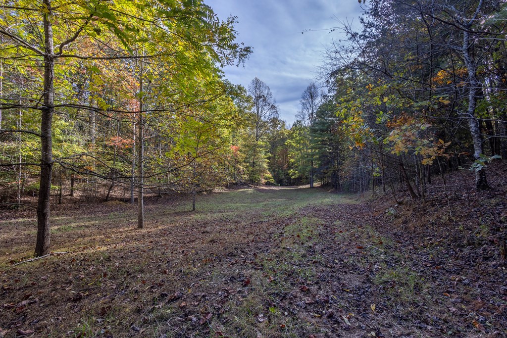 300 Springbrook Lane Murphy, NC 28906 - Photo 4 of 39 Gallery Image 4