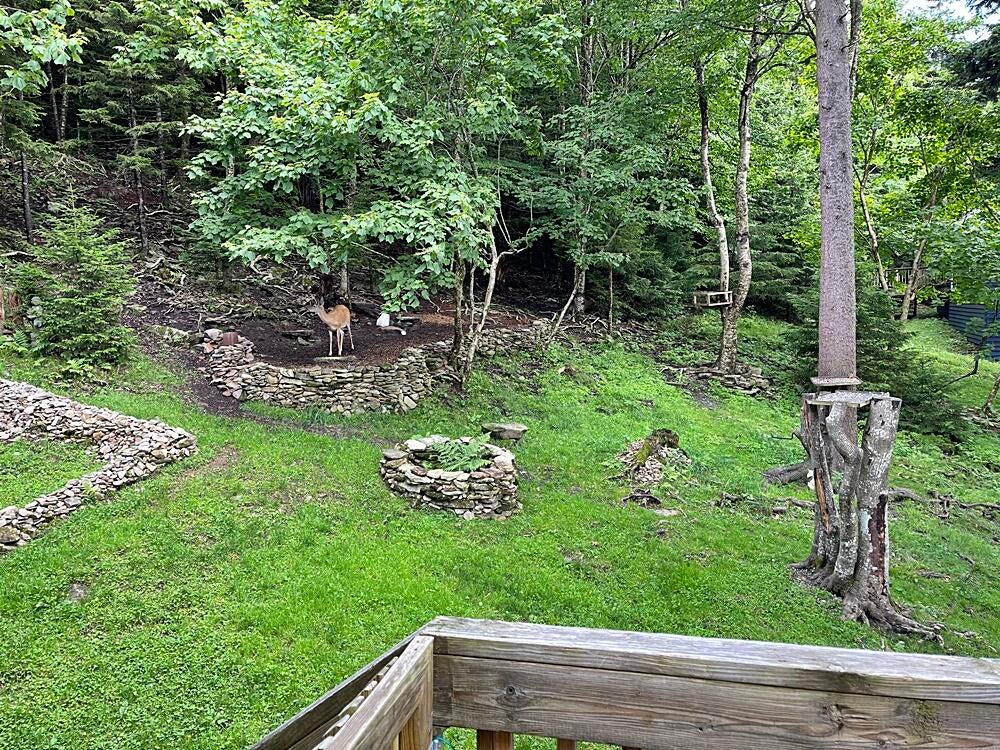 1165 North Westridge Road Slatyfork, WV 26291 - Photo 36 of 36 Gallery Image 36