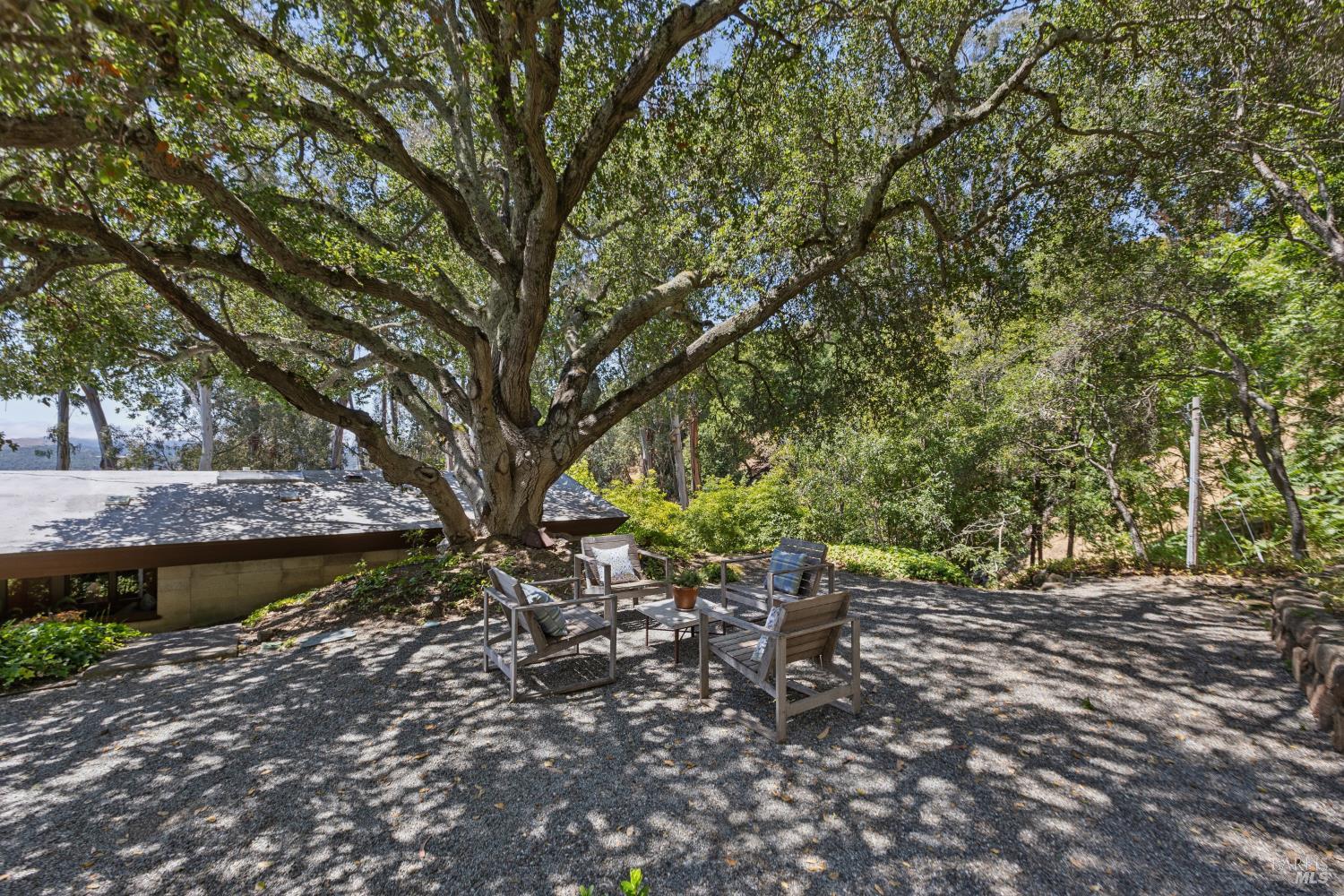 335 Highland Avenue San Rafael, CA 94901 - Photo 83 of 98