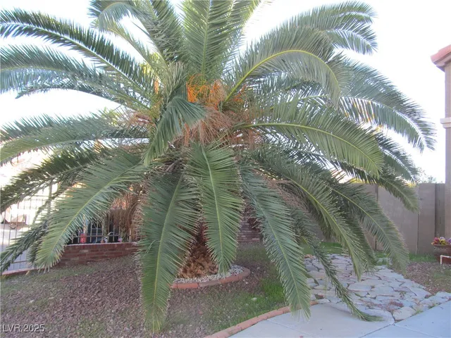 $2,600 | 9125 Sparklewood Court, Las Vegas, NV 89129