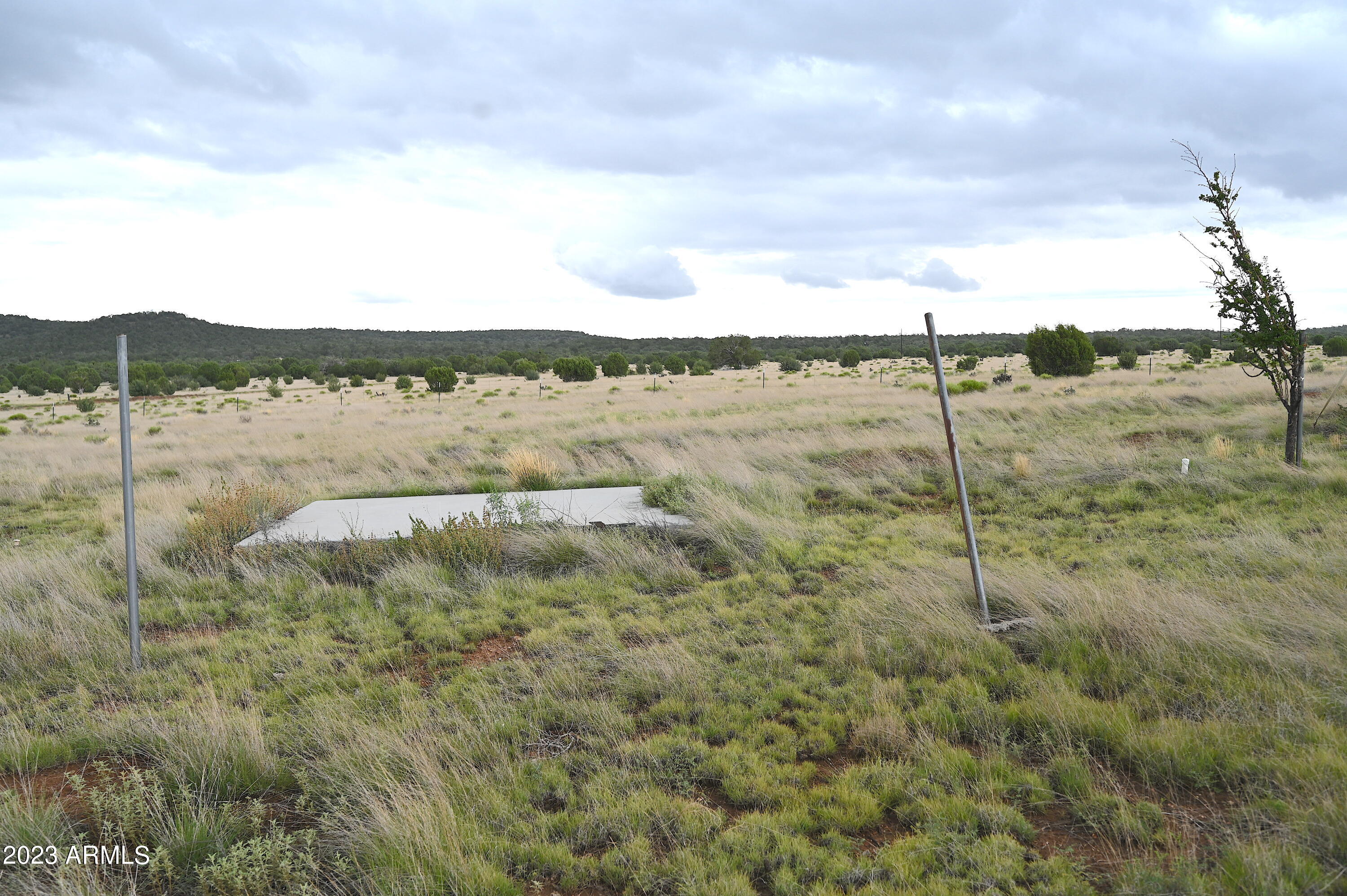 33677 West Signal View Road Seligman, AZ 86337 - Photo 29 of 34 cement slab