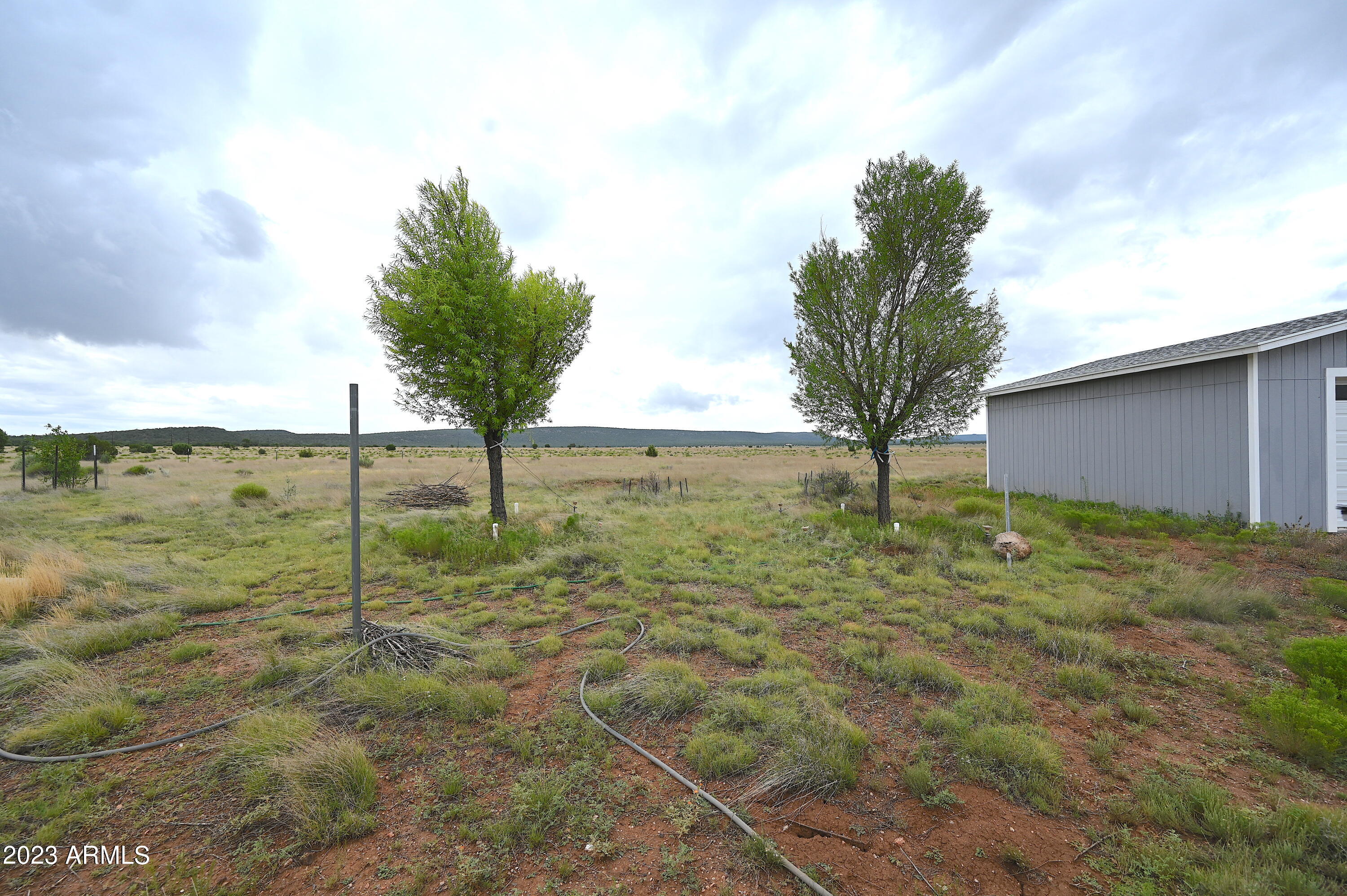 33677 West Signal View Road Seligman, AZ 86337 - Photo 30 of 34 Mature trees