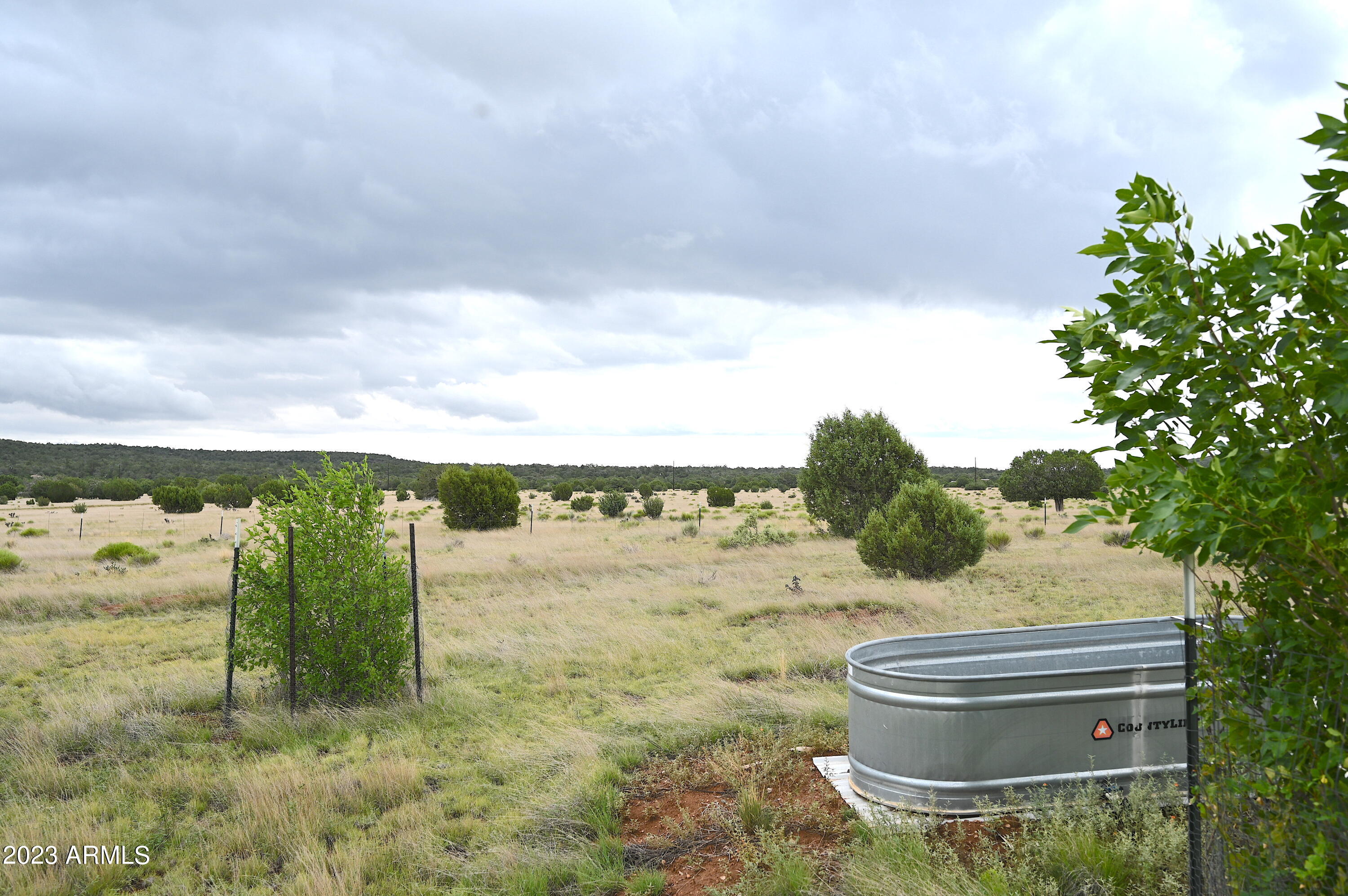 33677 West Signal View Road Seligman, AZ 86337 - Photo 33 of 34 garden