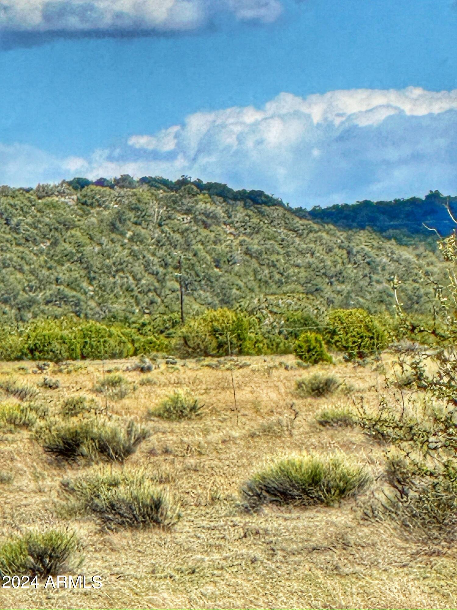 33677 West Signal View Road Seligman, AZ 86337 - Photo 6 of 34 IMG-1513
