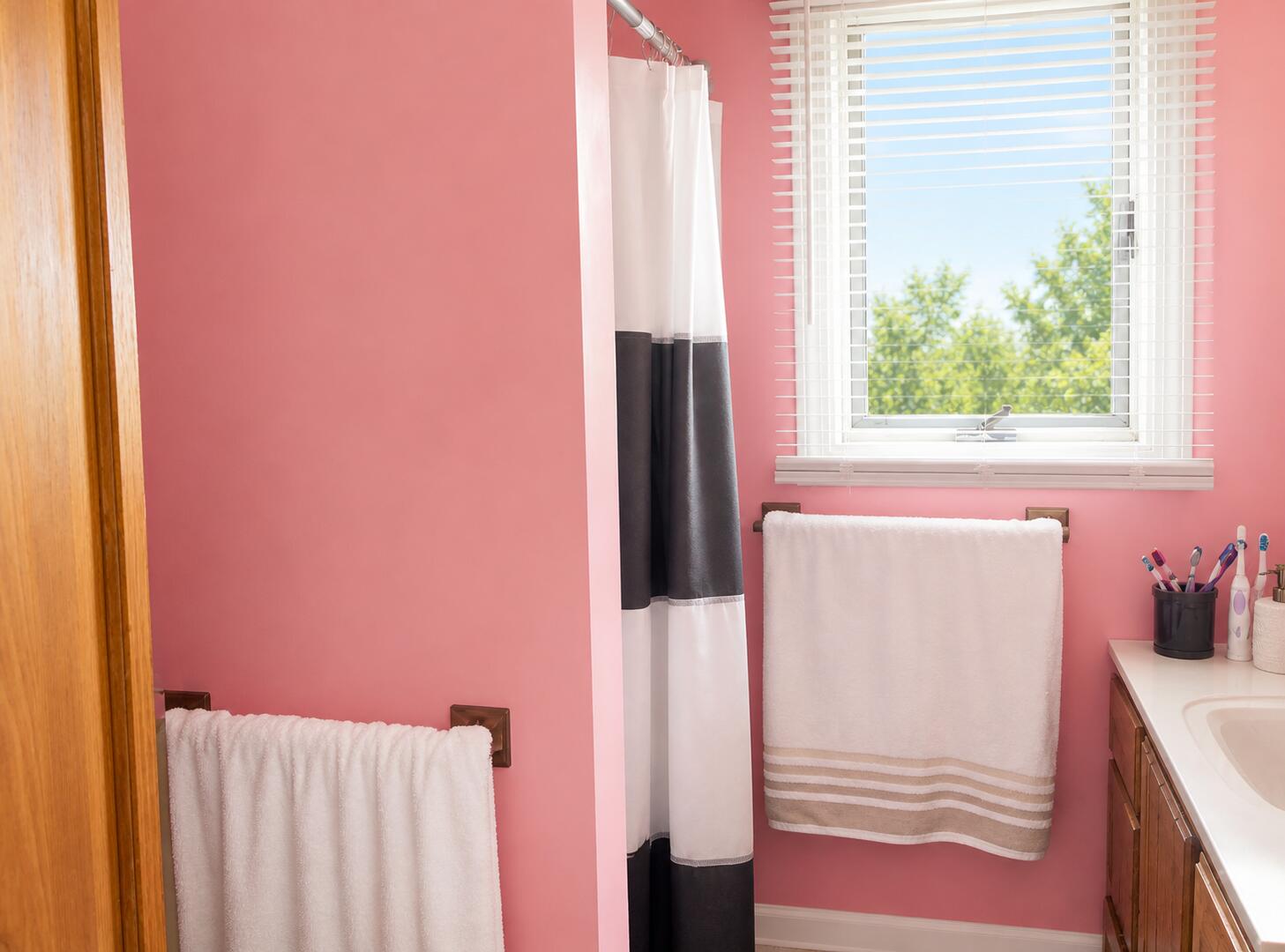 5 Epworth Street Presque Isle, ME 04769 - Photo 20 of 25 pink bathroom