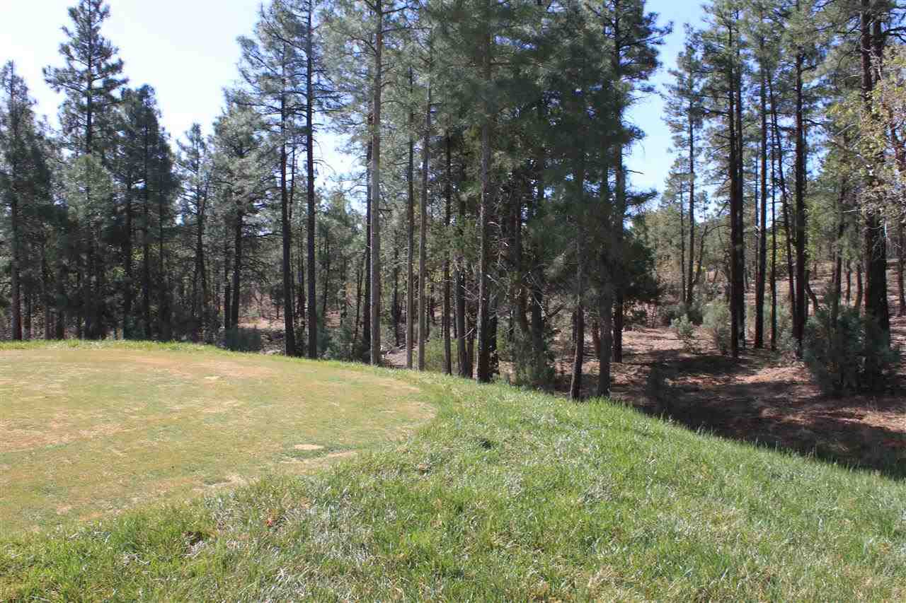 Lot 232 East Show Low Lake Road Show Low, AZ 85901 - Photo 2 of 10
