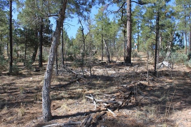 Lot 232 East Show Low Lake Road Show Low, AZ 85901 - Photo 3 of 10