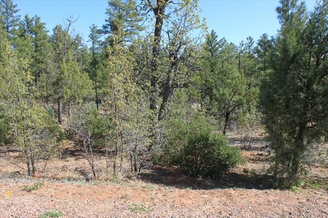 Lot 232 East Show Low Lake Road Show Low, AZ 85901 - Photo 5 of 10