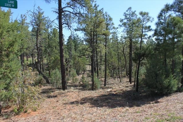 Lot 232 East Show Low Lake Road Show Low, AZ 85901 - Photo 6 of 10