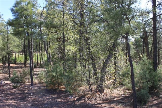 Lot 232 East Show Low Lake Road Show Low, AZ 85901 - Photo 7 of 10