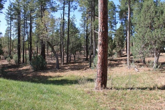 Lot 232 East Show Low Lake Road Show Low, AZ 85901 - Photo 8 of 10
