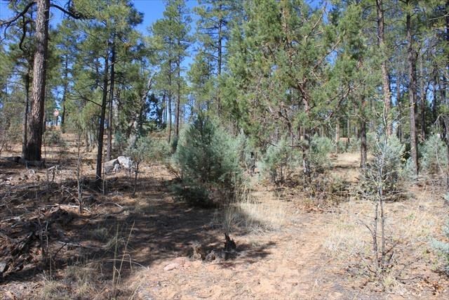 Lot 232 East Show Low Lake Road Show Low, AZ 85901 - Photo 10 of 10