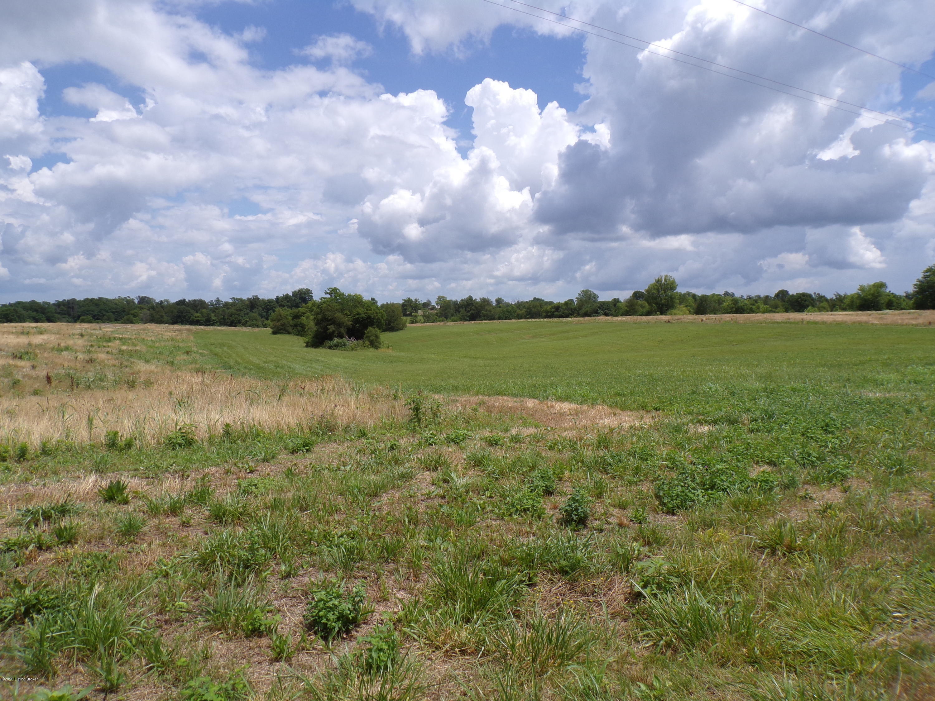 Lot 6 Sulpher Road Sulphur, KY 40070 - Photo 2 of 16 101_0303