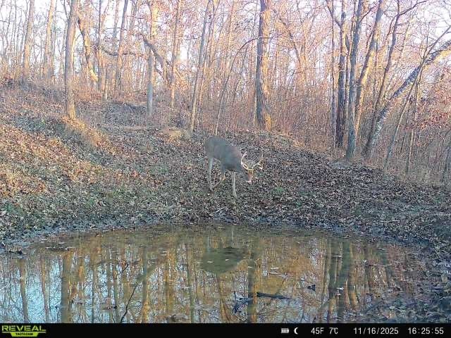 Xx Xx Simons Road Mondovi, WI 54755 - Photo 39 of 45