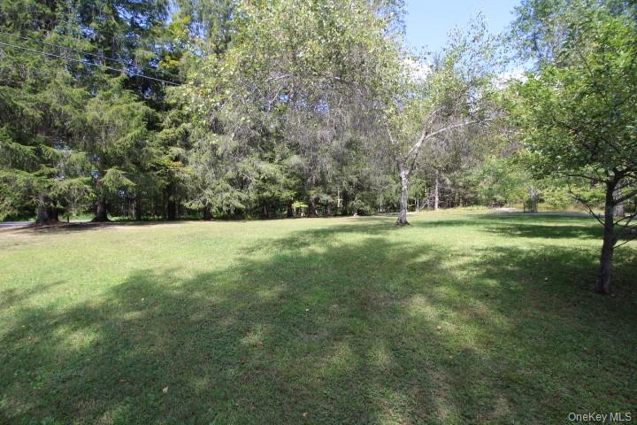 226 Goff Road, Unit 24 Livingston Manor, NY 12758 - Photo 36 of 49 a view of outdoor space with trees all around