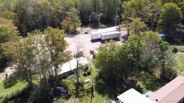 a view of a yard with plants and large trees