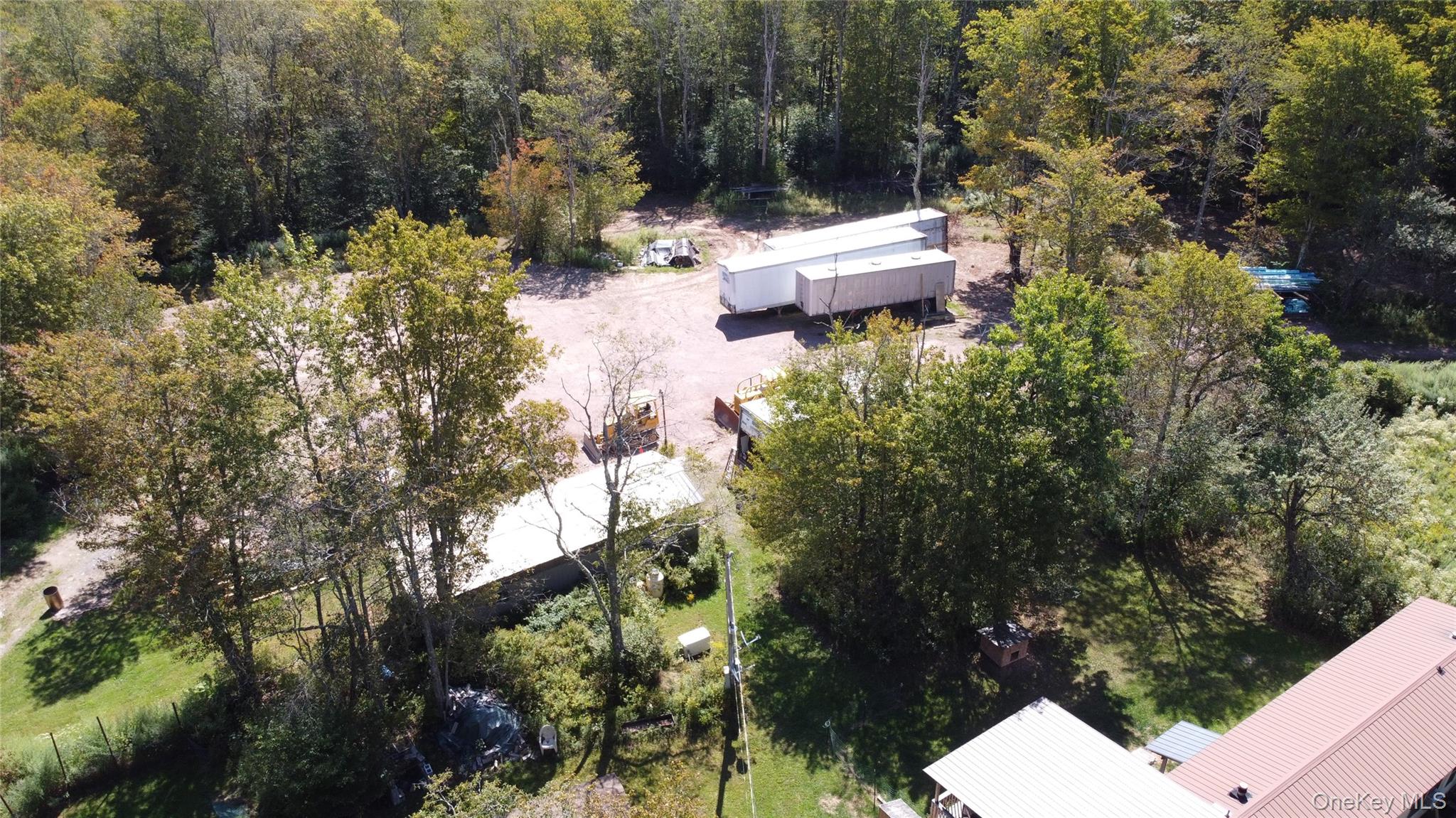 226 Goff Road, Unit 24 Livingston Manor, NY 12758 - Photo 5 of 49 a view of a yard with plants and large trees