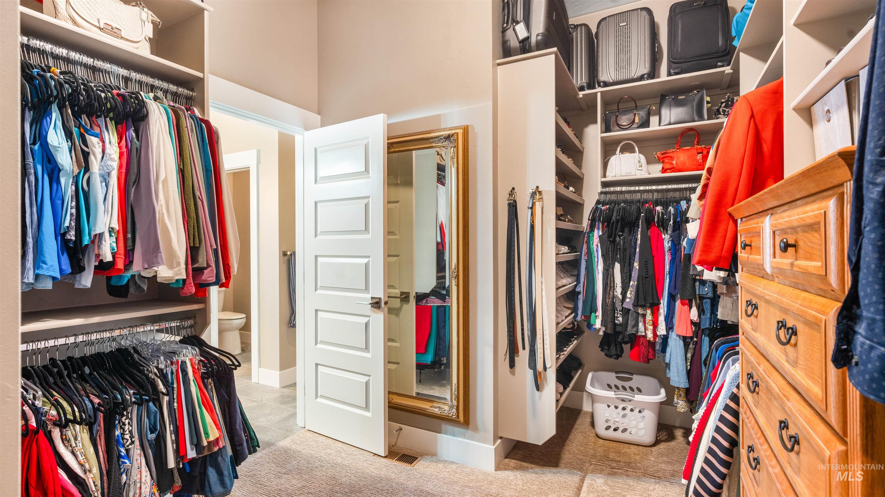 4676 South Abbot Meridian, ID 83642 - Photo 42 of 49 Walk in closet featuring light carpet